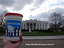 Pot de Fluff devant la maison blanche